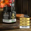Manuka Vital MGO 450+ 250g | Das Manuka Honig ORIGINAL aus Produktbild-Vorschau 5
