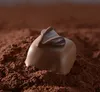 Lindt Pralines Hochfein z klasyczną, delikatną czekoladą Podgląd zdjęcia produktu 22