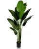 IvoQ Strelitzia - Plante artificielle de 210 cm - Grande Voir les images du produit 1