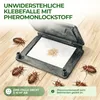 Bettwanzenfalle mit Lockstoff -2x Fallen- Natur Mittel Produktbild-Vorschau 3