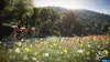 Tour de France 2019 [PS4] Produktbild-Vorschau 3
