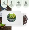 Blumenkohl Samen (Romanesco, 50 Korn) - Blumenkohl Saatgut Produktbild-Vorschau 4
