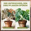 A split image comparing a wilting plant in normal soil on the left with a healthy, vibrant plant in special soil on the right. Text overlays highlight the difference. Produktbild-Vorschau