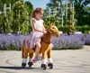 Cavallo meccanico Ponnie Fancy S Anteprima dell’immagine prodotto 18