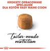 Cibo secco Royal Canin FBN Maine Coon Adult per gatti Anteprima dell’immagine prodotto 9