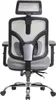 The back view of a gray ergonomic office chair with a mesh back and headrest. Náhľad obrázku produktu