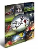 HERMA 19299, A3, Przechowywanie, Karton, 1 szt. Podgląd zdjęcia produktu 7