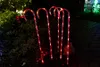Christmas candy cane lights are placed in the garden next to a Christmas tree. Produktbild-Vorschau