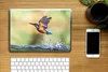 MuchoWow® Laptop Aufkleber Sticker Cover Eisvogel - Wasser Produktbild-Vorschau 2