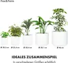 Fox & Fern Blumentopf 2er-Set, Übertopf Groß, UV- und Produktbild-Vorschau 6
