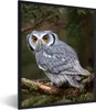 MuchoWow® Gerahmtes Poster Eule - Vogel - Äste - Natur Produktbild-Vorschau 1