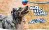 Chuckit! Dog Hračka Vrhač loptičiek M 63cm Náhľad obrázku produktu 3