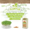 Keimsprossen Weizen (200 g) |Keimsprossen von FLORTUS Produktbild-Vorschau 4