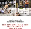 Wartungsfreier Traktion Blei-Akku 12 V/15 Ah, faston 6,3 mm Anteprima dell’immagine prodotto