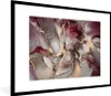 MuchoWow® Gerahmtes Poster Gold - Marmor - Lila 80x60 cm - Produktbild-Vorschau 1