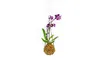 Gardners Kokedama Phalaenopsis (L) Náhled obrázku produktu 2