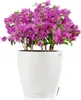 LECHUZA-Pot de plantes CLASSICO Color 18 Blanc | Pot de Voir les images du produit 12