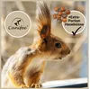 Canifee Eichhörnchenfutter - ganzjähriges Wildtierfutter im Produktbild-Vorschau 4