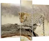 Bild auf Leinwand - Leinwandbild - Afrika Leopard Katze Produktbild-Vorschau 1
