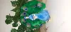 Uni Toys Paon Doudou peluche animal Voir les images du produit 3
