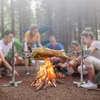 Grilovací rožeň s motorem 220V 53CM BBQ rožeň z nerezové Náhled obrázku produktu 2