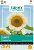 Buzzy Sunny Flowers Sonneblume White Sun F1 Samen - Ca. 6  Produktbild-Vorschau 3