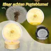 Collage of a dandelion and a lamp shaped like a dandelion. Produktbild-Vorschau
