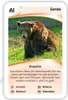 ASS Quartett Wilde Tiere, 1 Set Produktbild-Vorschau 8