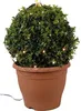 A potted, spherical topiary bush decorated with warm white LED string lights. Produktbild-Vorschau