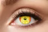 Zoelibat Eyecatcher 12 Monats-Kontaktlinsen Fireball Produktbild-Vorschau 2