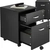 tectake® Rollcontainer Vagur mit 2 Schubladen für Dokumente Produktbild-Vorschau 1