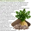 Sellerie Samen Selleriesamen Celery Seed 360 Pulver Kapseln Produktbild-Vorschau 3