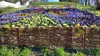 Weidenzaun 100x30cm Satz von 5 Stück. Weidenpalisade für Produktbild-Vorschau 9