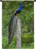 MuchoWow® Wandteppich Wandbehang Pfau - Wald - Zweig 60x90 Produktbild-Vorschau 1