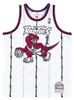 Hemd Mitchell & Ness & NBA Swingman-Trikot Toronto Raptors Produktbild-Vorschau 1