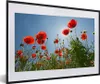 MuchoWow® Gerahmtes Poster Helle Sonne über einigen Produktbild-Vorschau 1