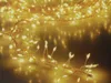Catena luminosa a grappolo di LED in filo d'argento, 960 Anteprima dell’immagine prodotto 1