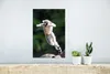 MuchoWow® Poster Affe - Ringschwanzlemur - Baum 20x30 cm - Produktbild-Vorschau 5