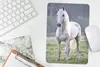 MuchoWow® Mauspad Mousepad Pferd - Licht - Morgen 18x27 cm Produktbild-Vorschau 5