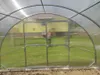View from inside a greenhouse looking out through the doors at a grassy yard and a yellow building. Produktbild-Vorschau