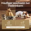 PETLIBRO Katzenbrunnen Filter für Trinkbrunnen… Produktbild-Vorschau 7
