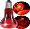 Repti-Zoo Spot riscaldante a infrarossi 75W - Lampadina Anteprima dell’immagine prodotto 2