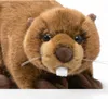 Carl Dick castoro di circa 30 cm, peluche 3638 Anteprima dell’immagine prodotto 5
