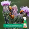 Dr. Stähler Blattlausfrei-Spray anwendungsfertig - 500 ml Produktbild-Vorschau 5