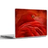 MuchoWow® Laptop Aufkleber Sticker Cover Tropisch - Vogel - Produktbild-Vorschau 6
