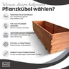 IvoQ Pflanzkasten aus Holz – 120x40x32 cm – Massives Holz – Produktbild-Vorschau 4