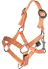 HKM Kids Halfter und Strick Hobby Horsing Basic Orange Produktbild-Vorschau 2
