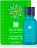 Olejek eteryczny EUCALYPTUS Podgląd zdjęcia produktu 3
