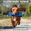 GIZZY® Futterdummy für Hunde grün – Robuster Produktbild-Vorschau 6