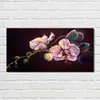 Coloray Bild aus Acryl 100 cm x 50 cm - Gehärtetes Acryl Produktbild-Vorschau 2